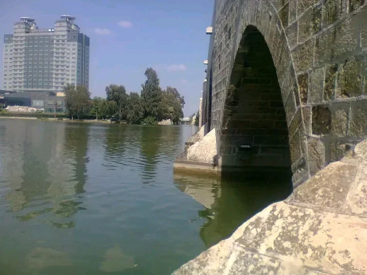 1765287246262.webp 1765287246262.webp