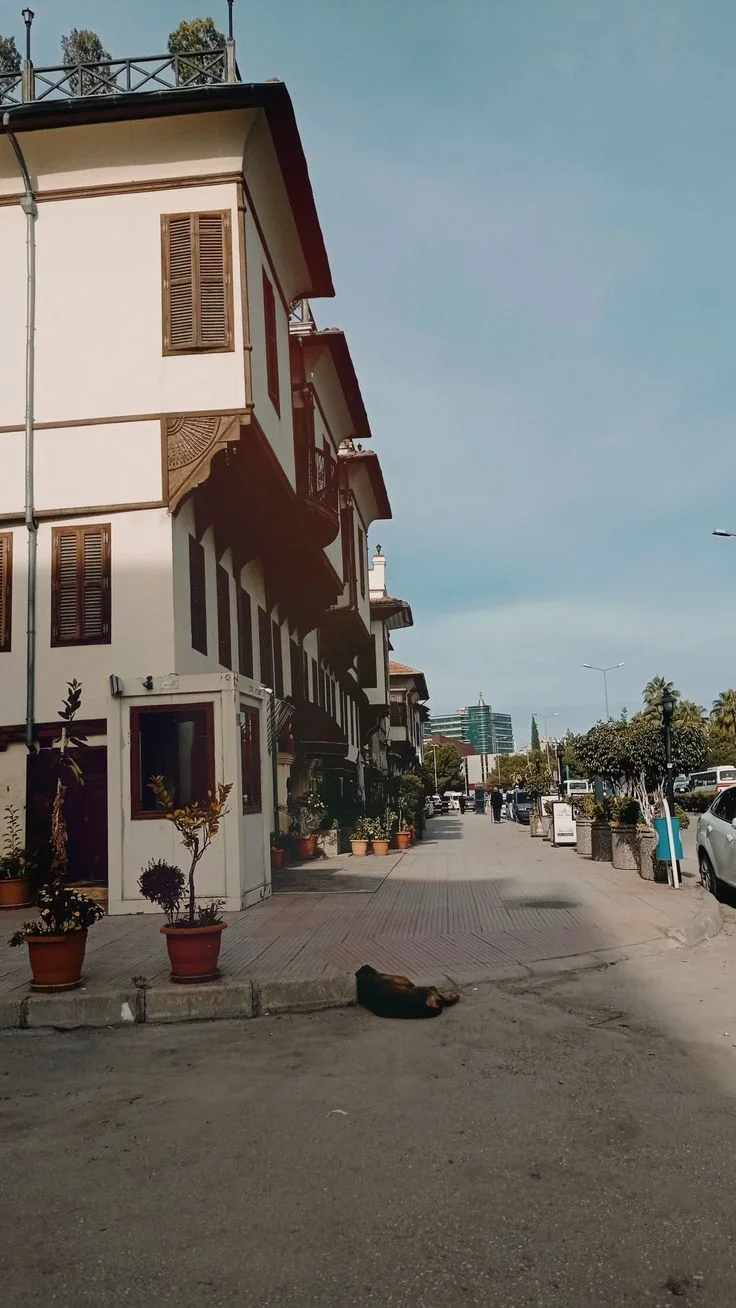 f28d1c3b34f5055582f12c954bb4a909 (1).webp