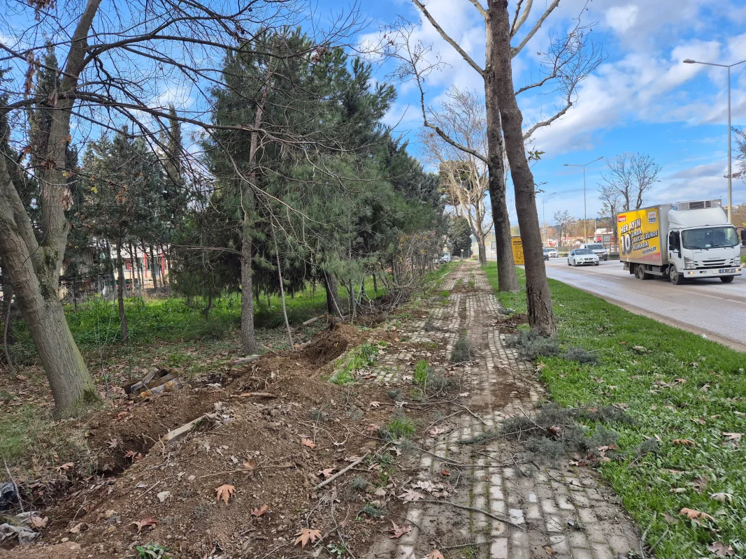 20251215_145050.webp 20251215_145050.webp