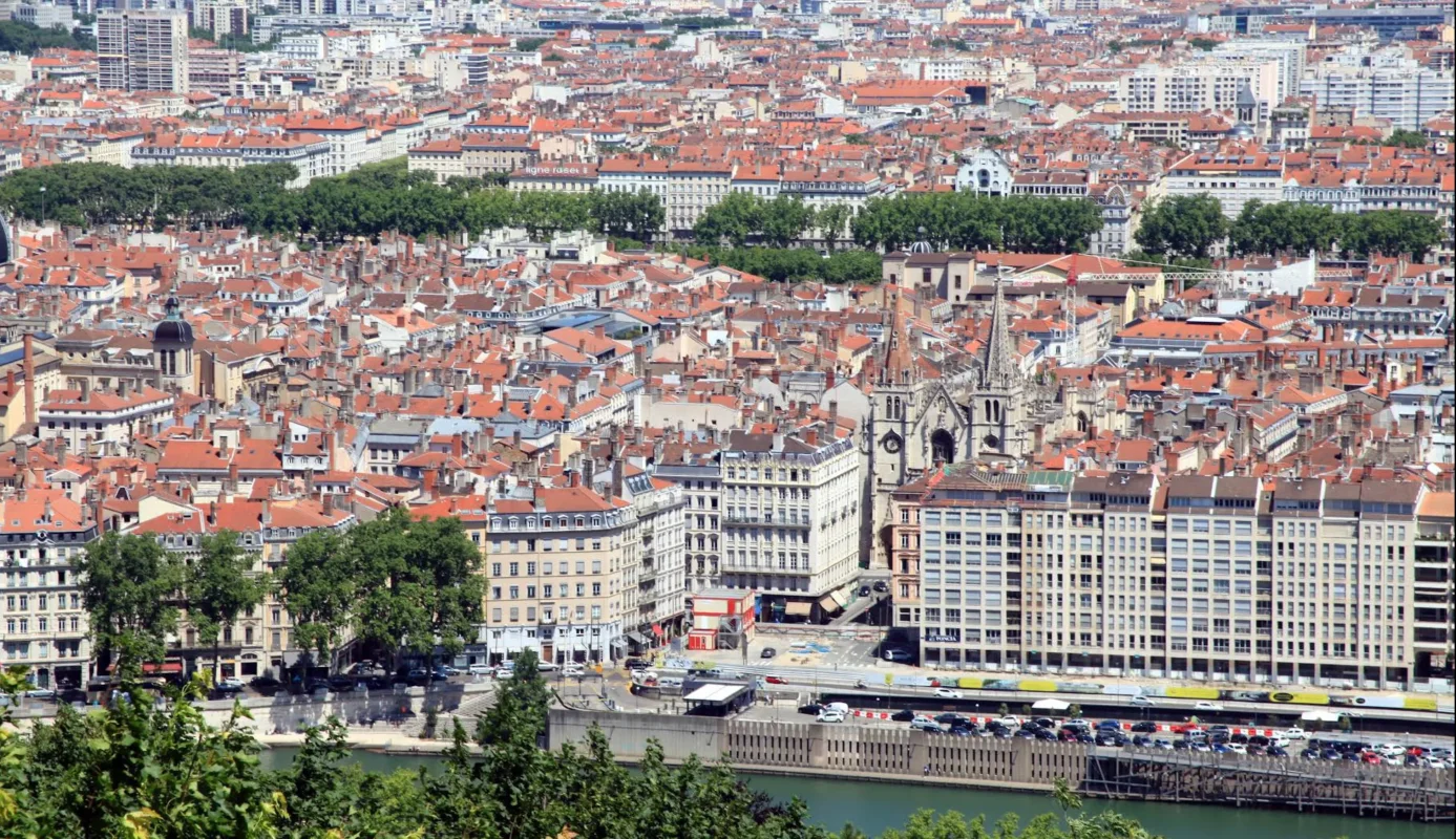 Lyon 1.webp