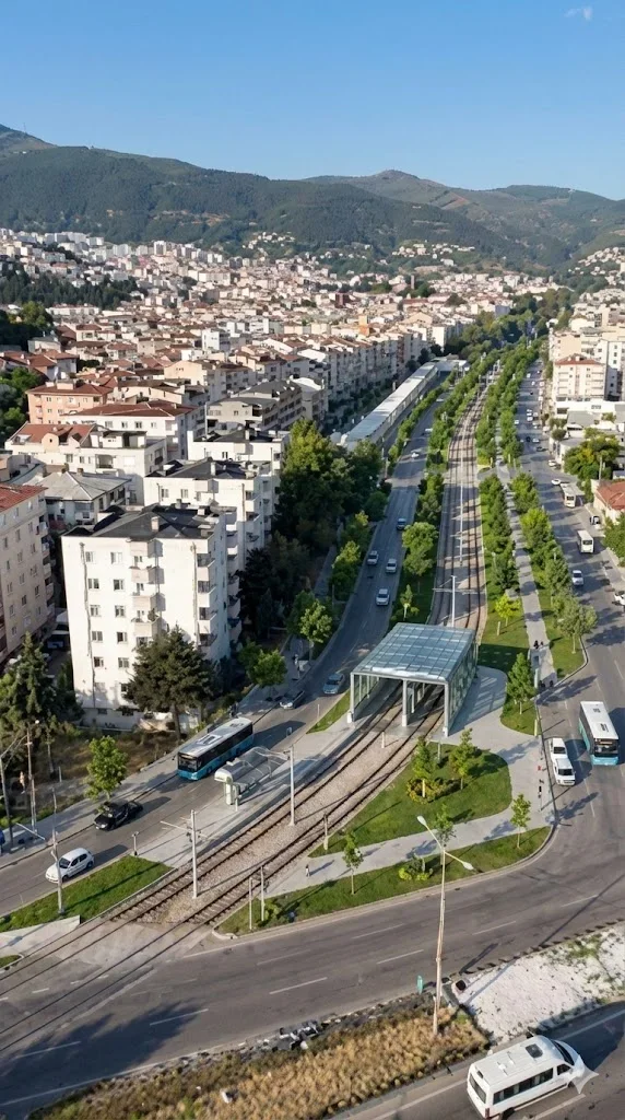 1767421452372.webp 1767421452372.webp