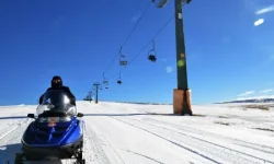 thumb (3).webp
