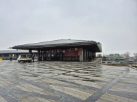 1000012011.webp