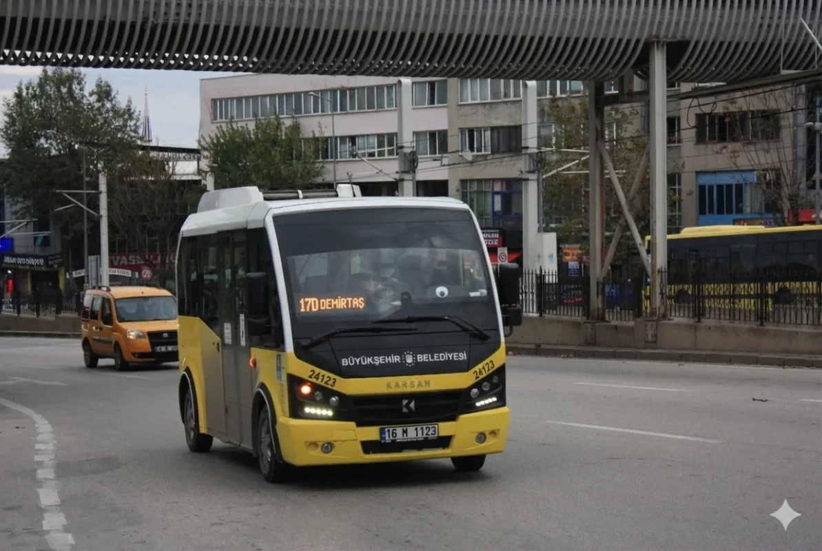 Gemini_Generated_Image_6q8v456q8v456q8v.webp Gemini_Generated_Image_6q8v456q8v456q8v.webp