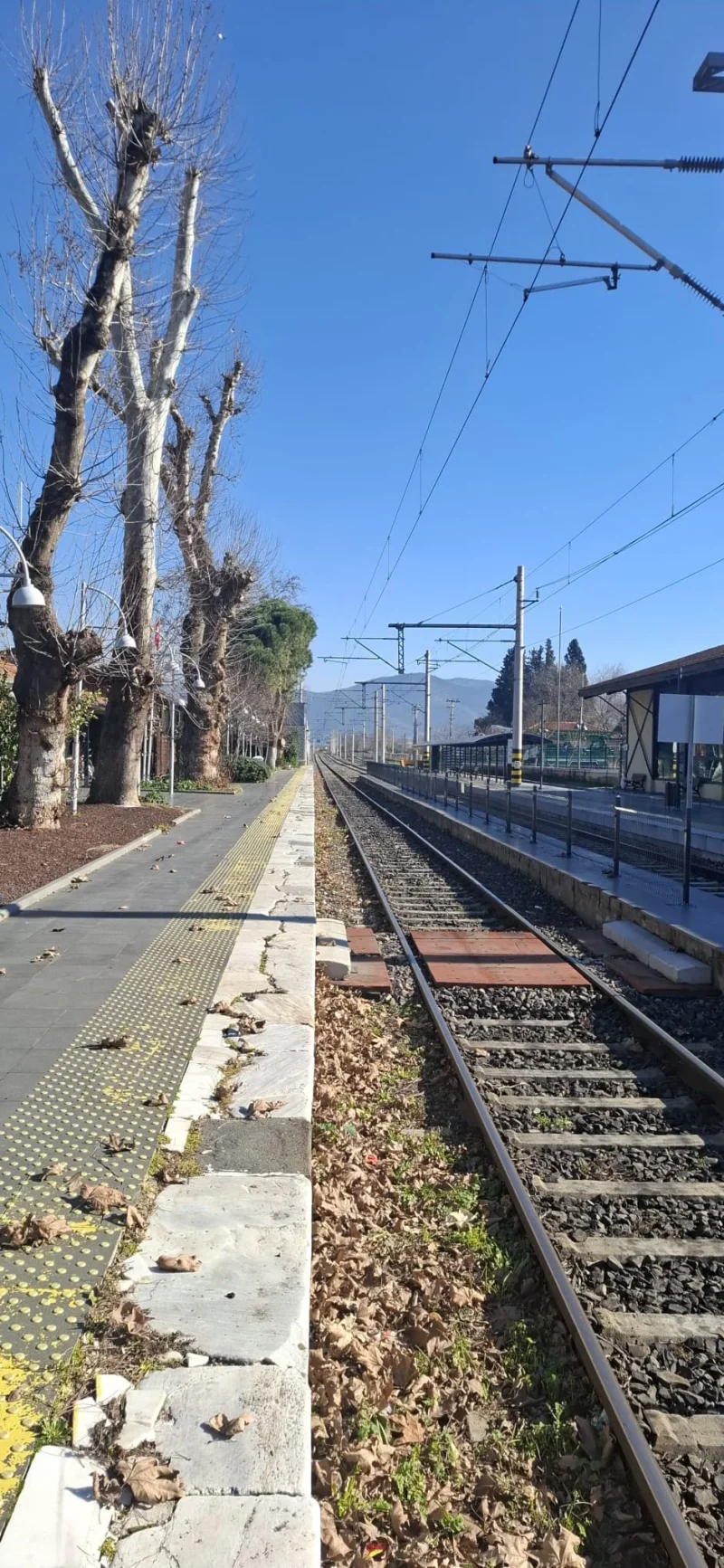 WhatsApp Image 2026-01-14 at 16.40.45 (2).webp