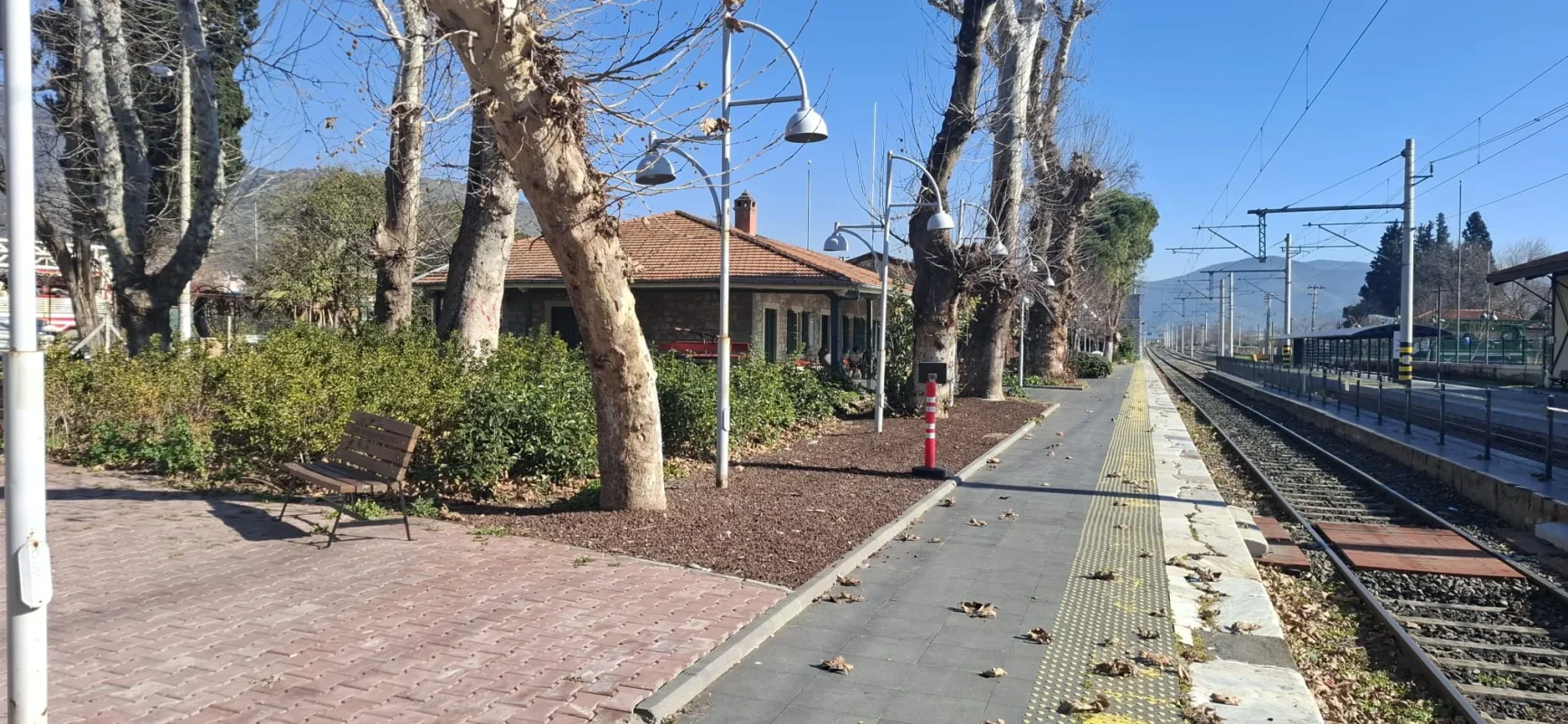 WhatsApp Image 2026-01-14 at 16.40.46 (2).webp