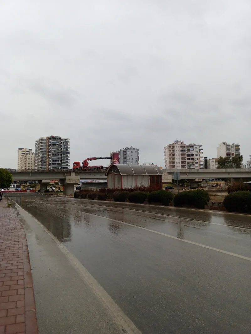 IMG_20260122_124010_902.webp IMG_20260122_124010_902.webp