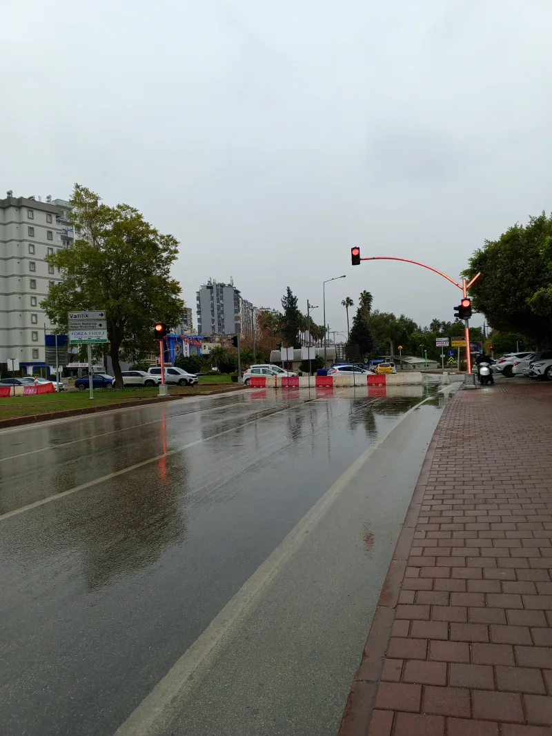 IMG_20260122_124000_322.webp IMG_20260122_124000_322.webp