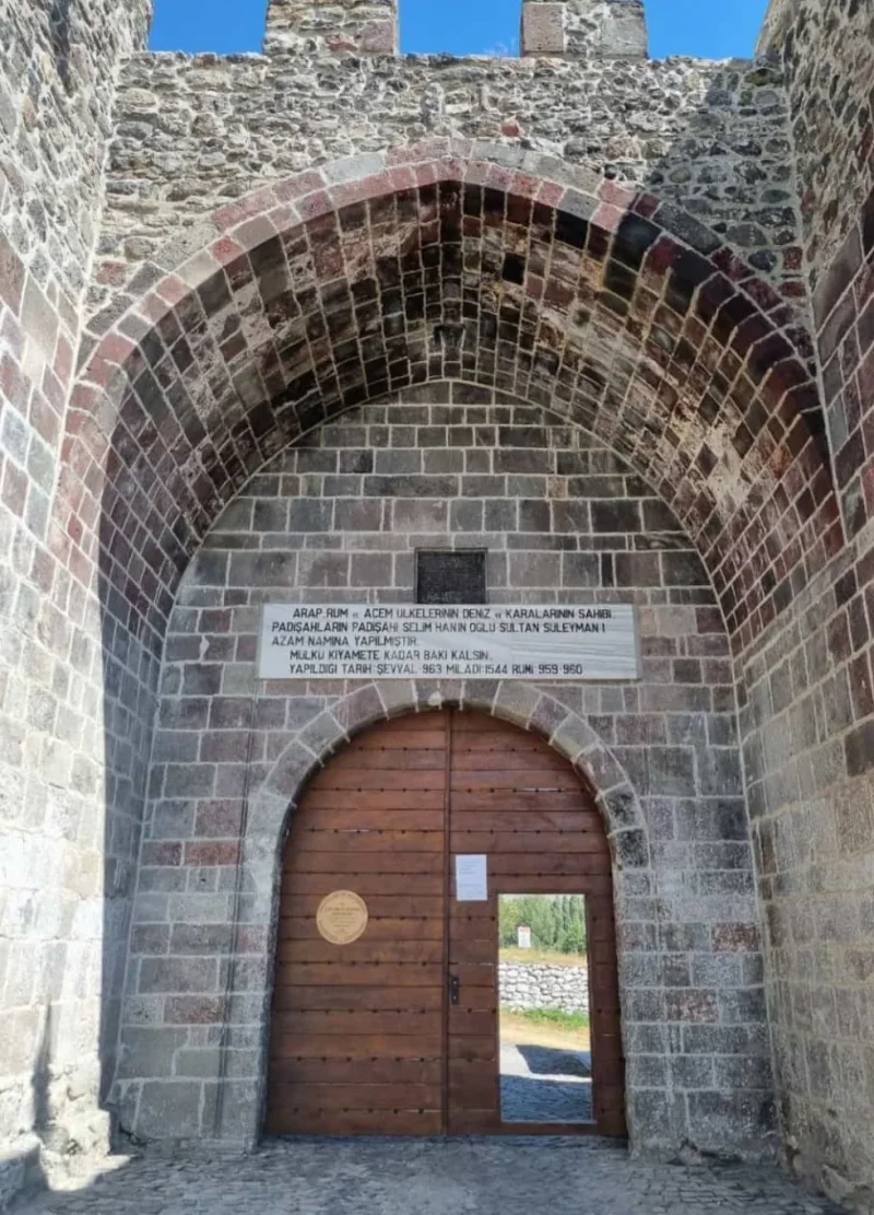 unnamed (3).webp unnamed (3).webp