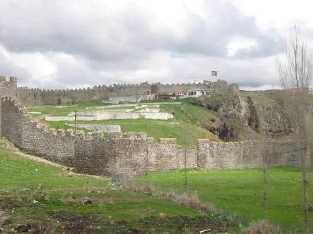 unnamed (2).webp unnamed (2).webp