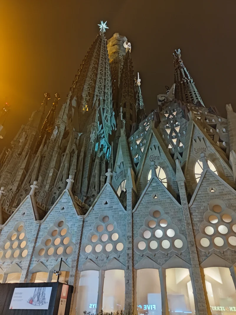 IMG_20260126_194611.webp IMG_20260126_194611.webp