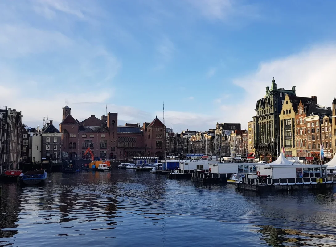 11111.webp 11111.webp