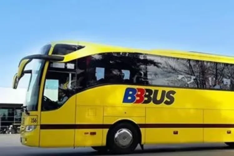 bbbus.webp