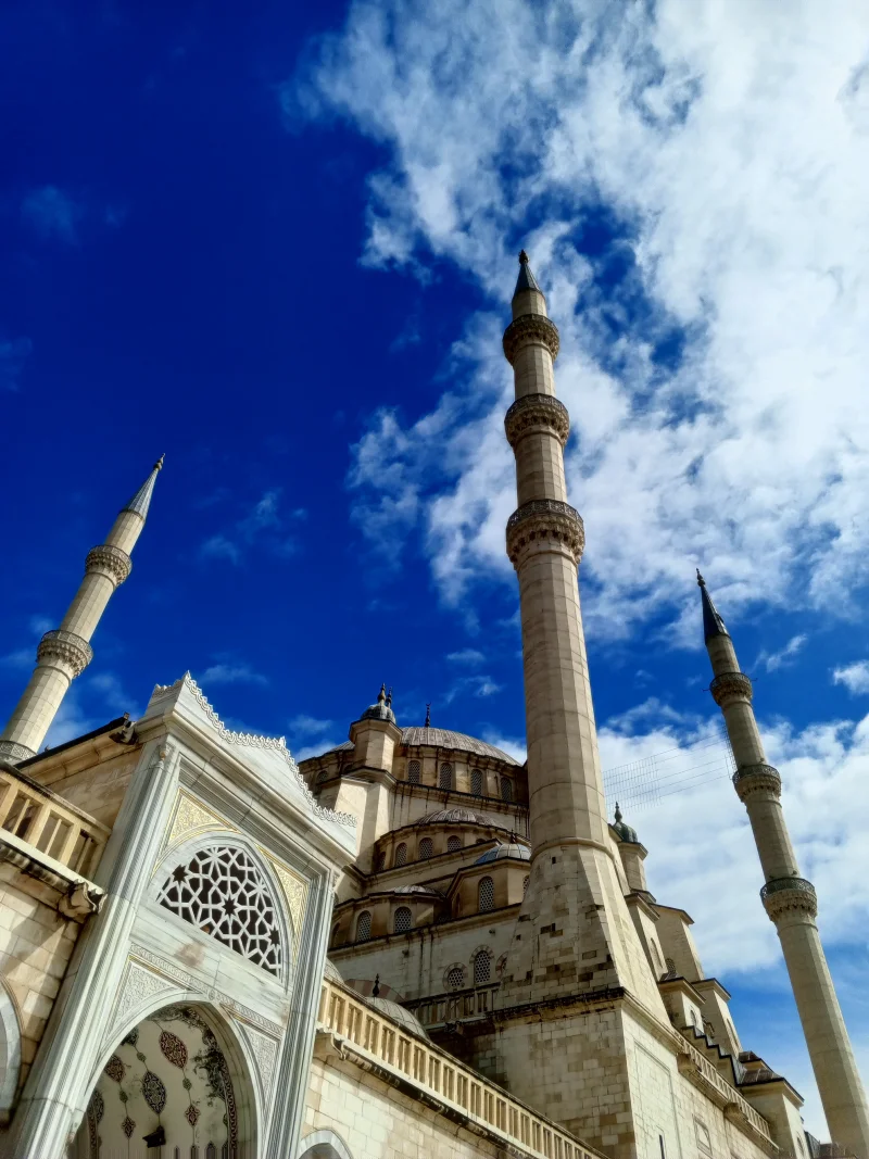 IMG_20260322_143058_011.webp IMG_20260322_143058_011.webp