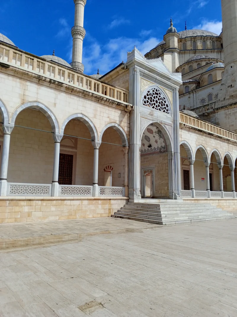 IMG_20260322_143053_480.webp IMG_20260322_143053_480.webp