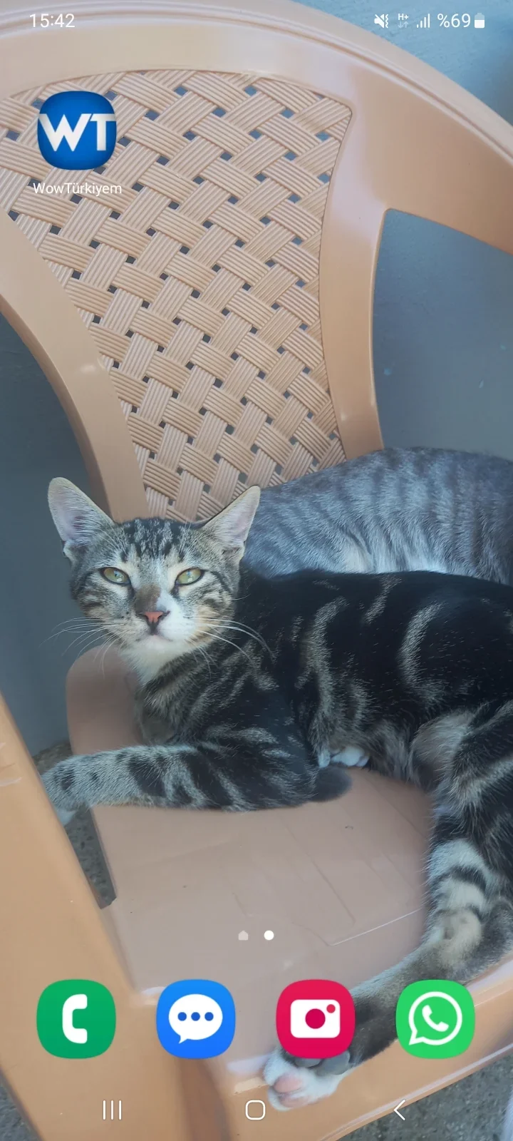 Screenshot_20260331_154208_One UI Home.webp