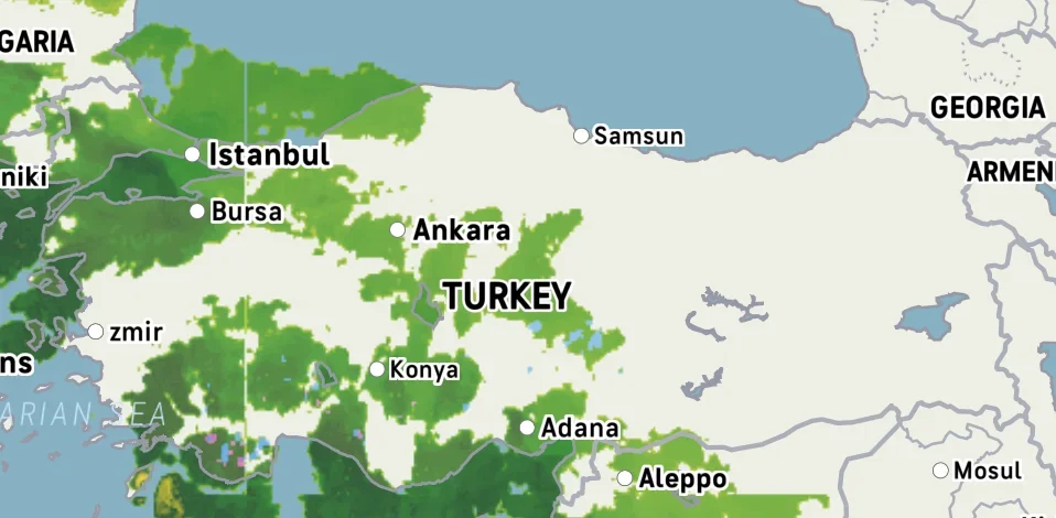 Ekran Resmi 2026-04-01 22.40.51.webp
