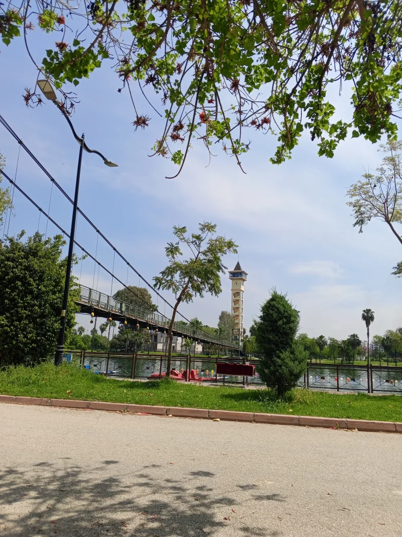 IMG_20260427_115356_668.webp