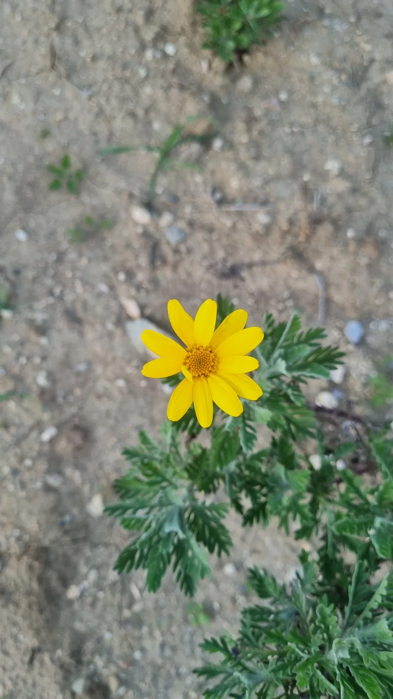 20260429_182921.webp