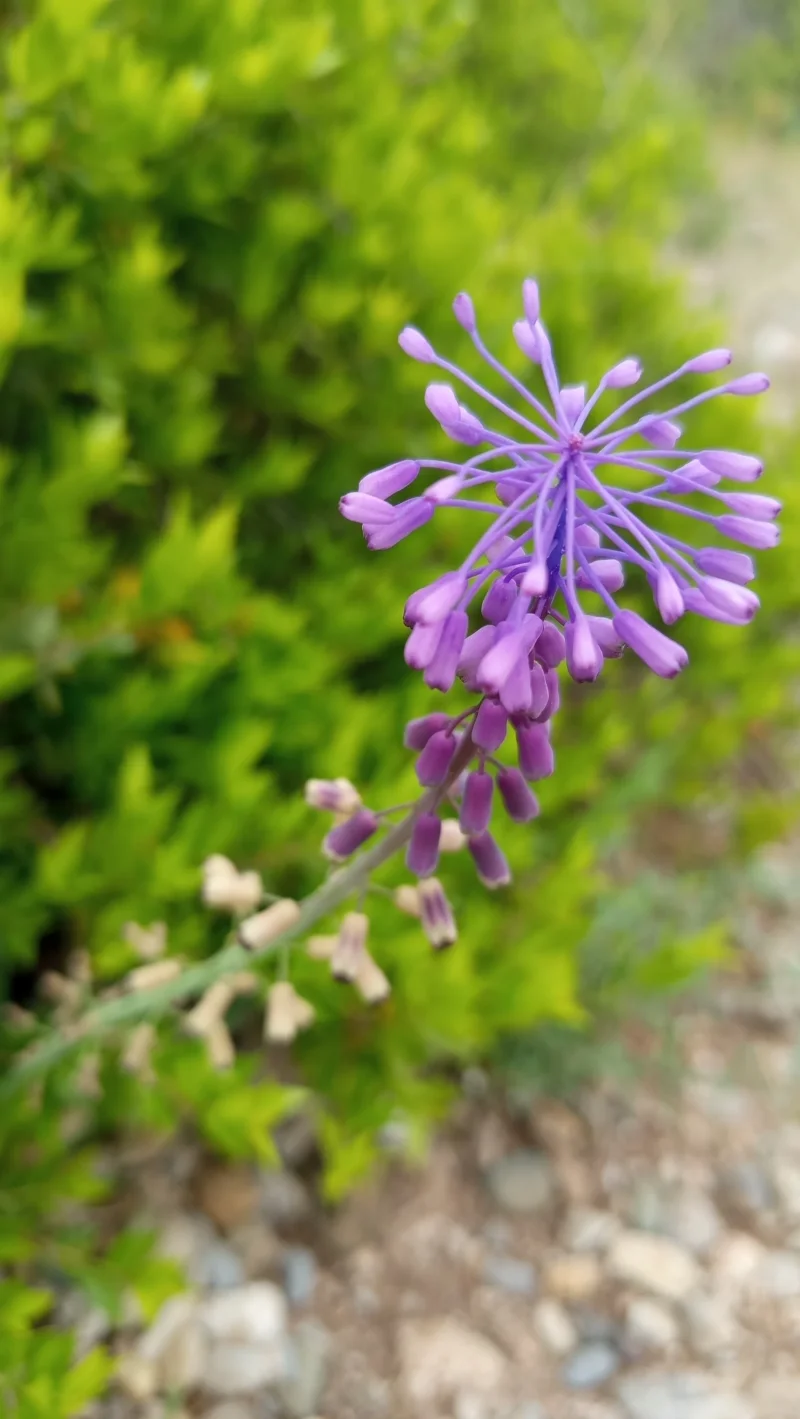 IMG_20260503_123155.webp