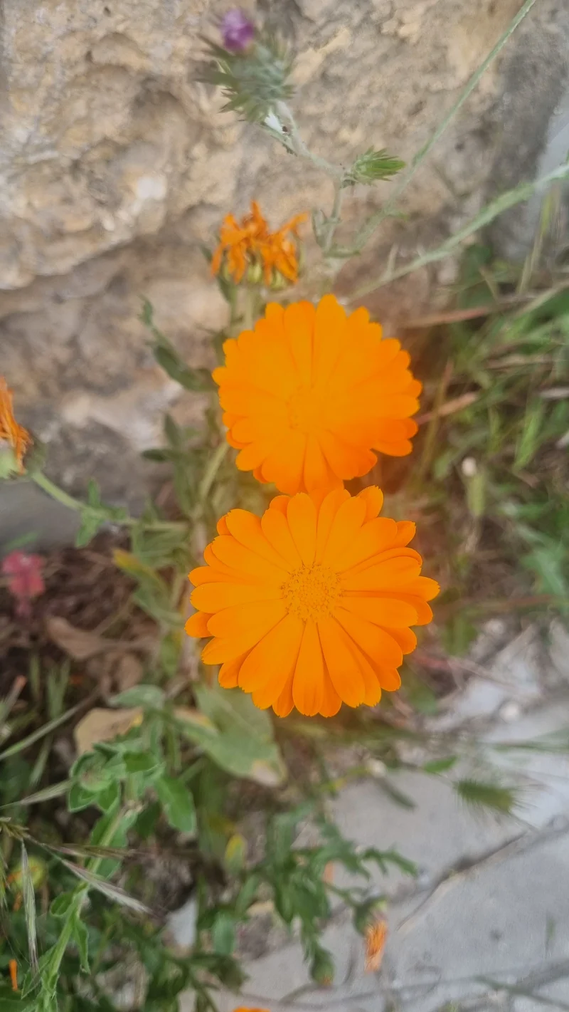20260508_173211.webp