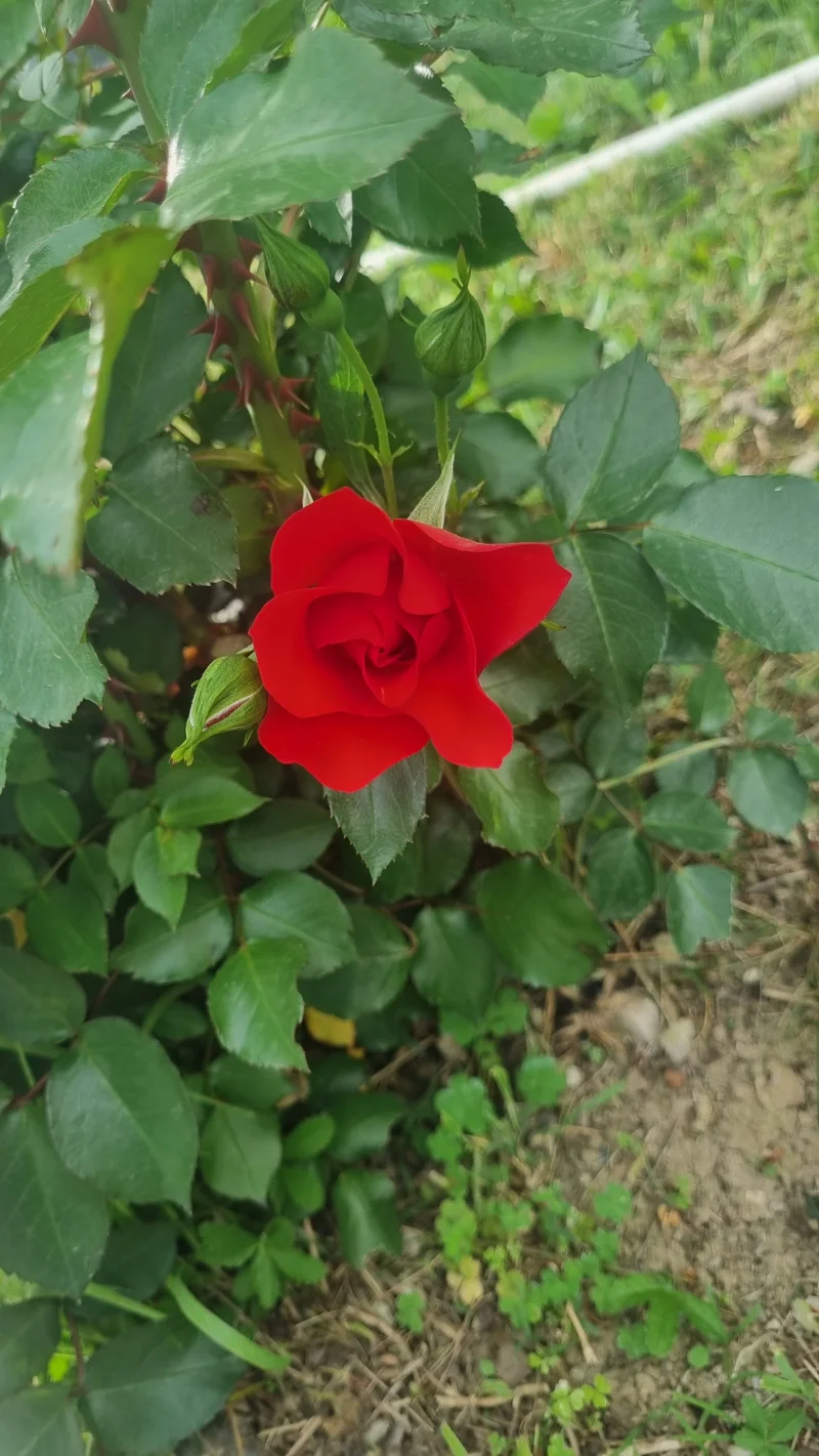 20260509_175821.webp