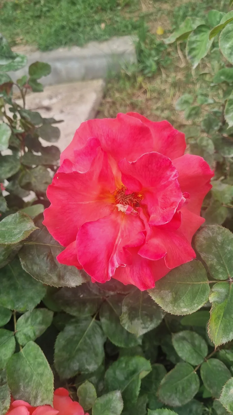 20260509_175842.webp