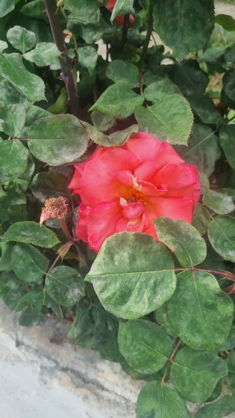 20260509_175845.webp