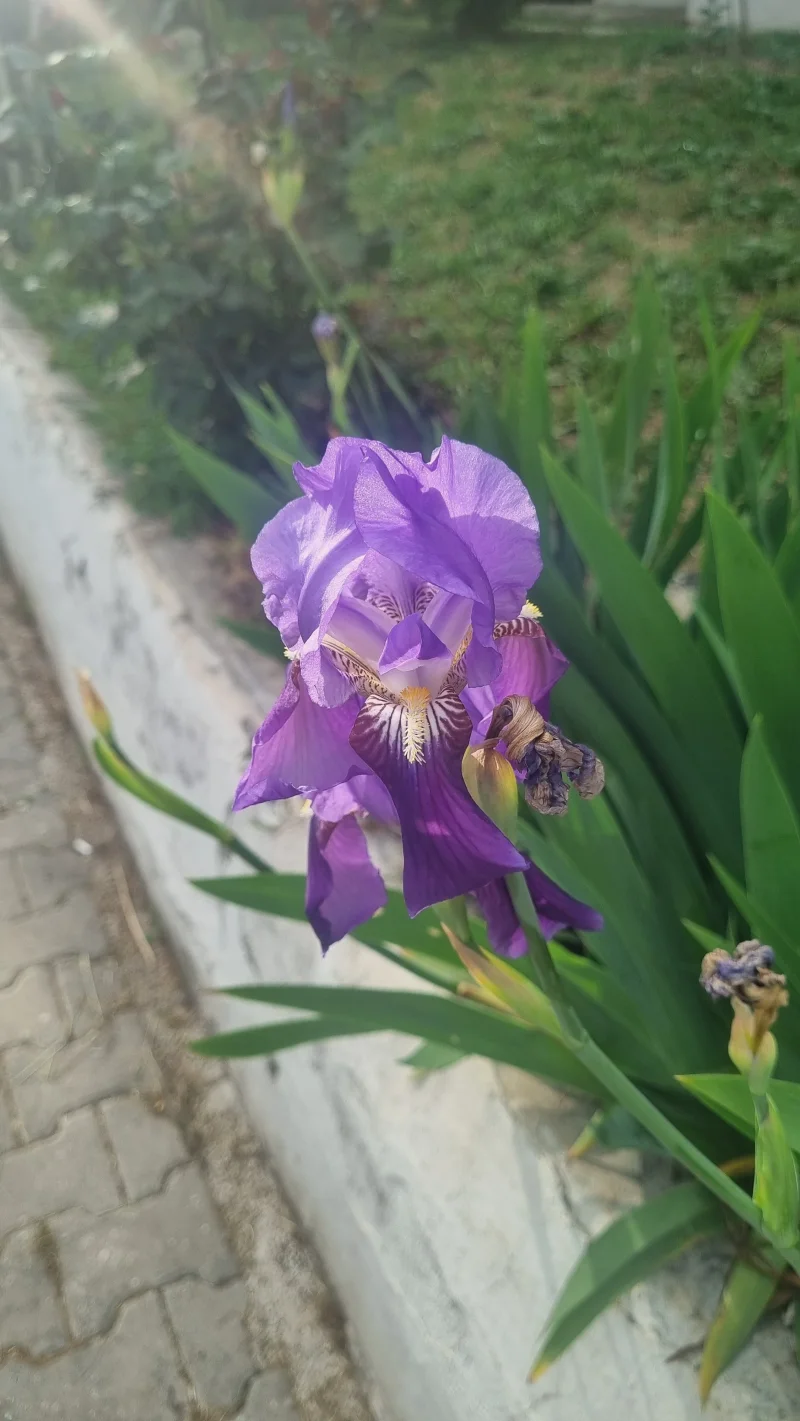 20260509_175848.webp