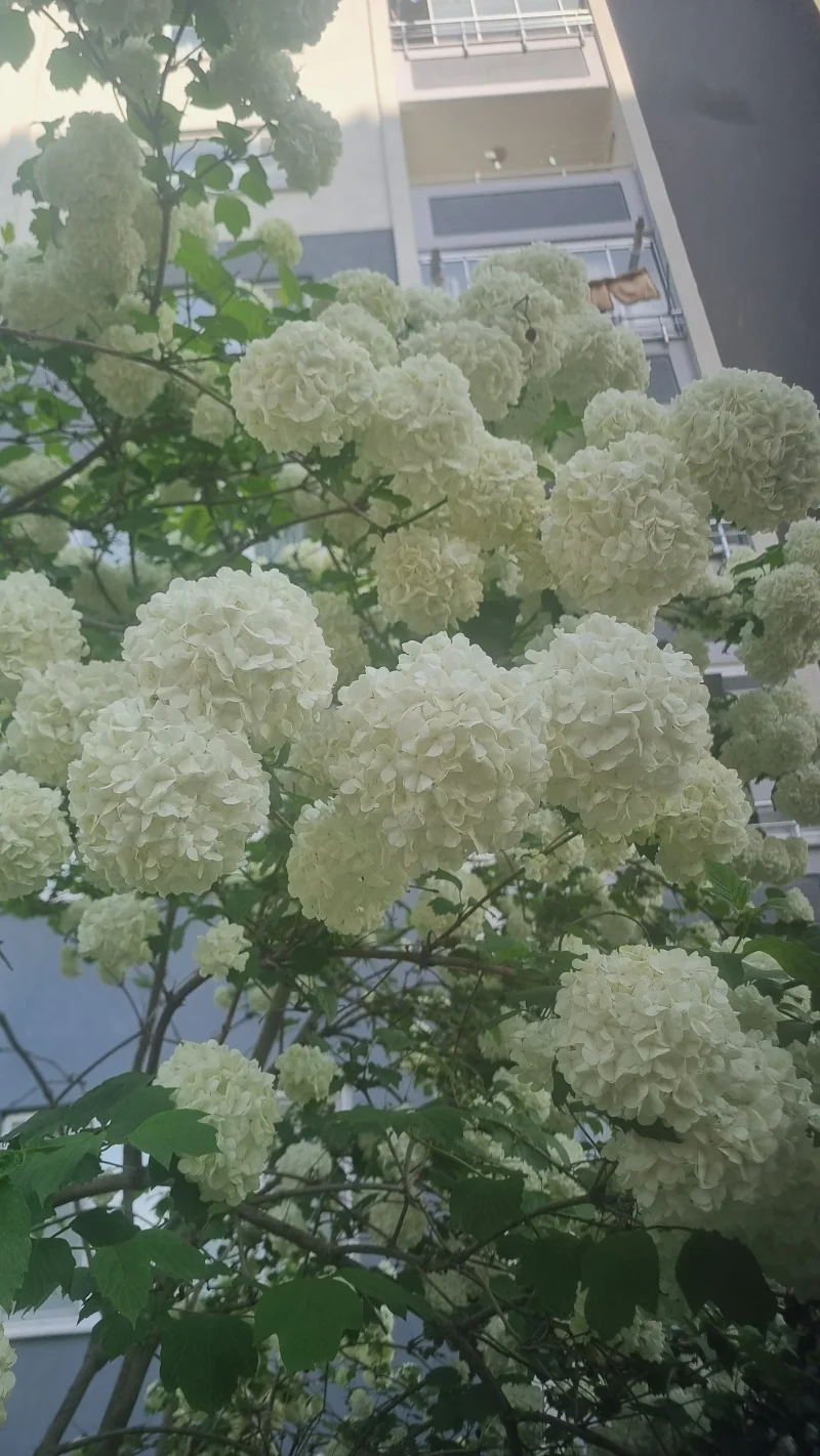 20260510_165639.webp