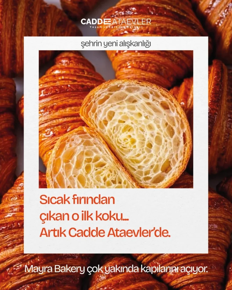 cadde_ataevler_1.webp