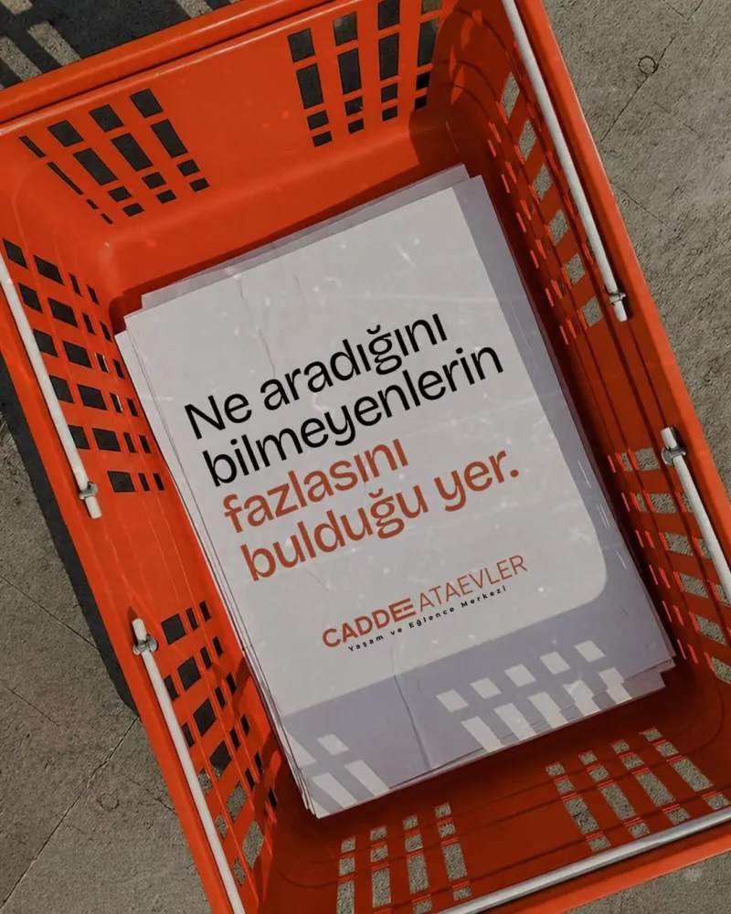 cadde_ataevler_tedi_1.webp
