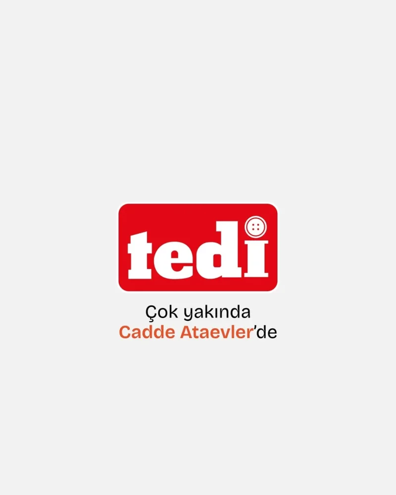 cadde_ataevler_tedi_2.webp