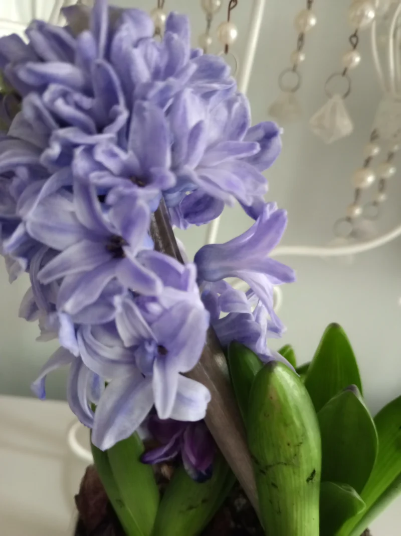 IMG_20260513_172837_399.webp