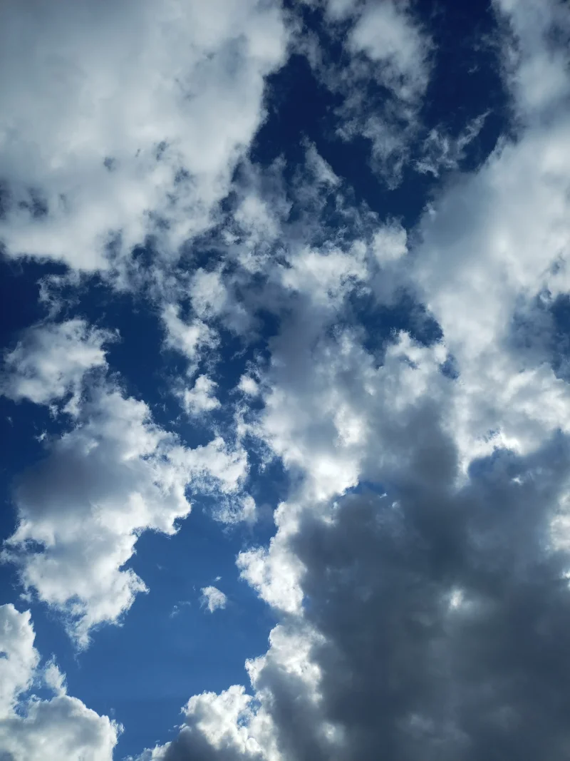 IMG_20260514_174012_790.webp