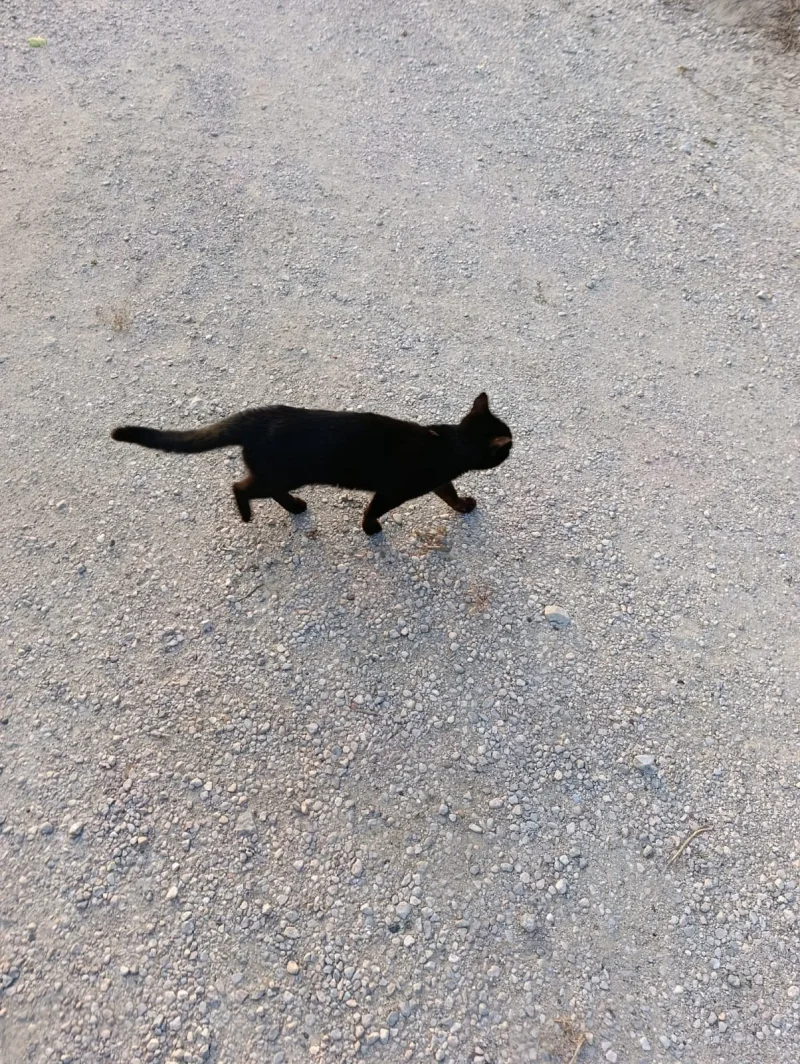 IMG-20260514-WA0014.webp