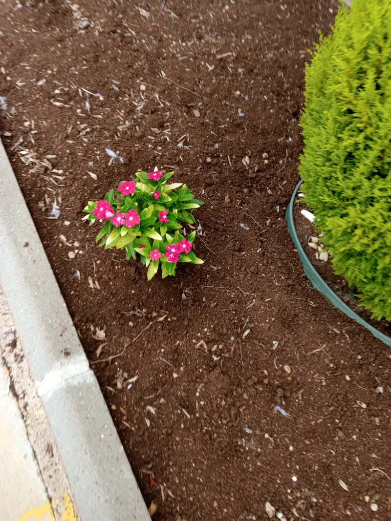IMG_20260517_073822_156.webp