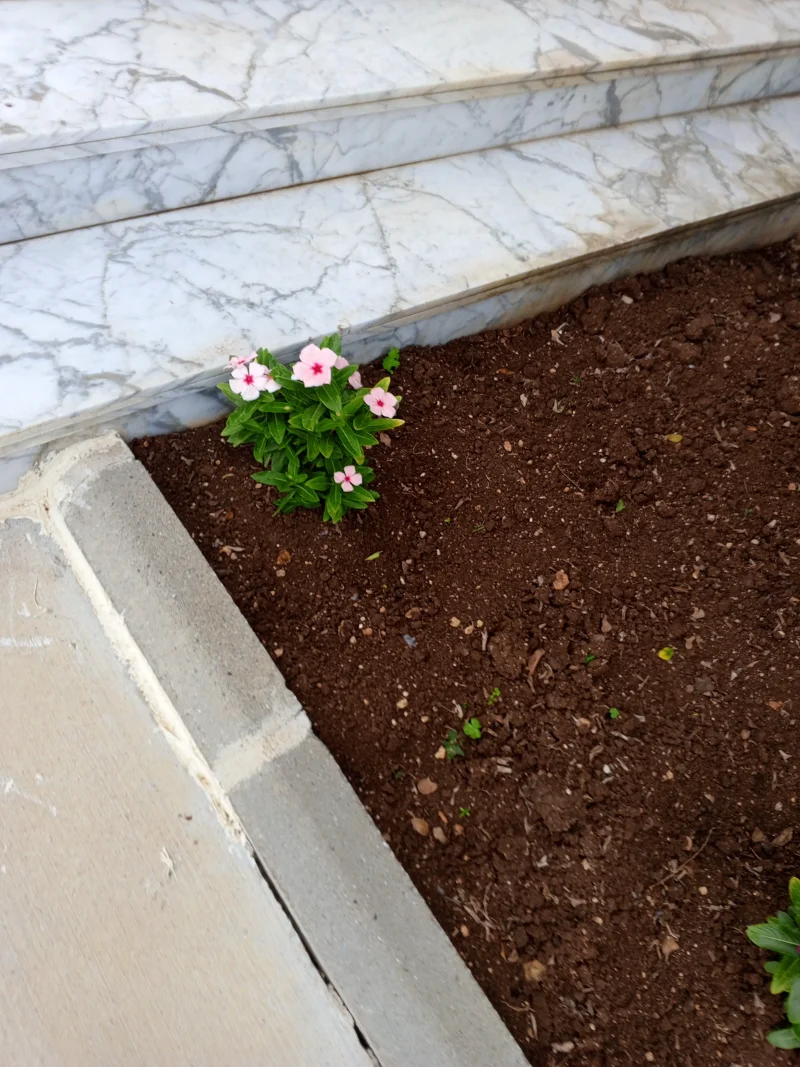 IMG_20260517_073808_177.webp