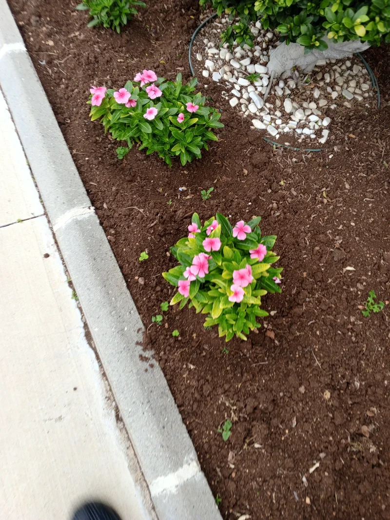 IMG_20260517_073806_097.webp