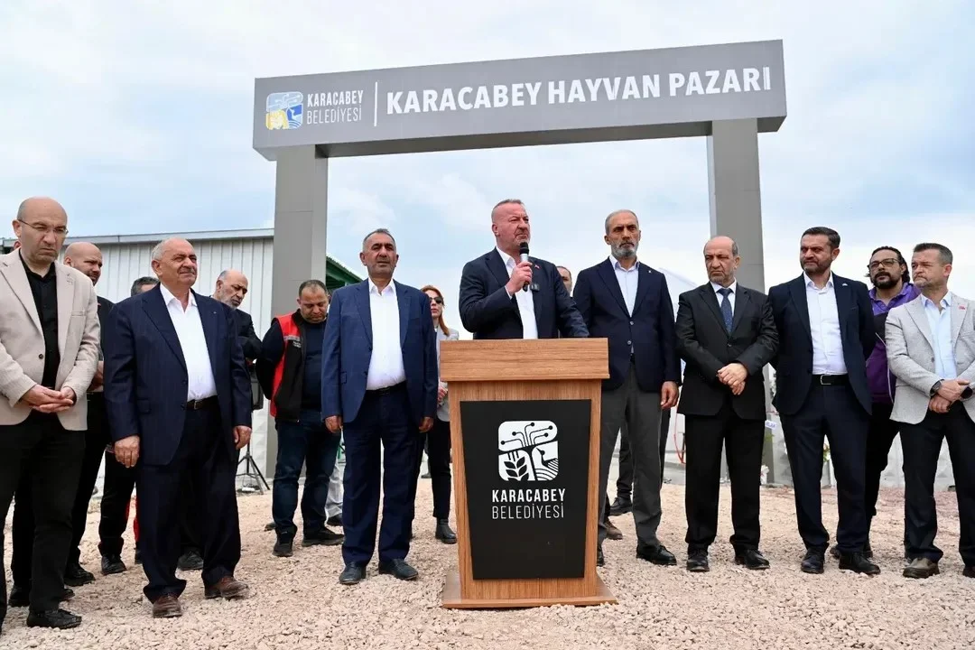 kbey_hayvan_pazari_1.webp