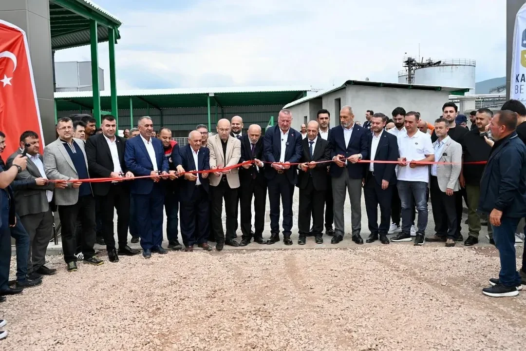 kbey_hayvan_pazari_3.webp