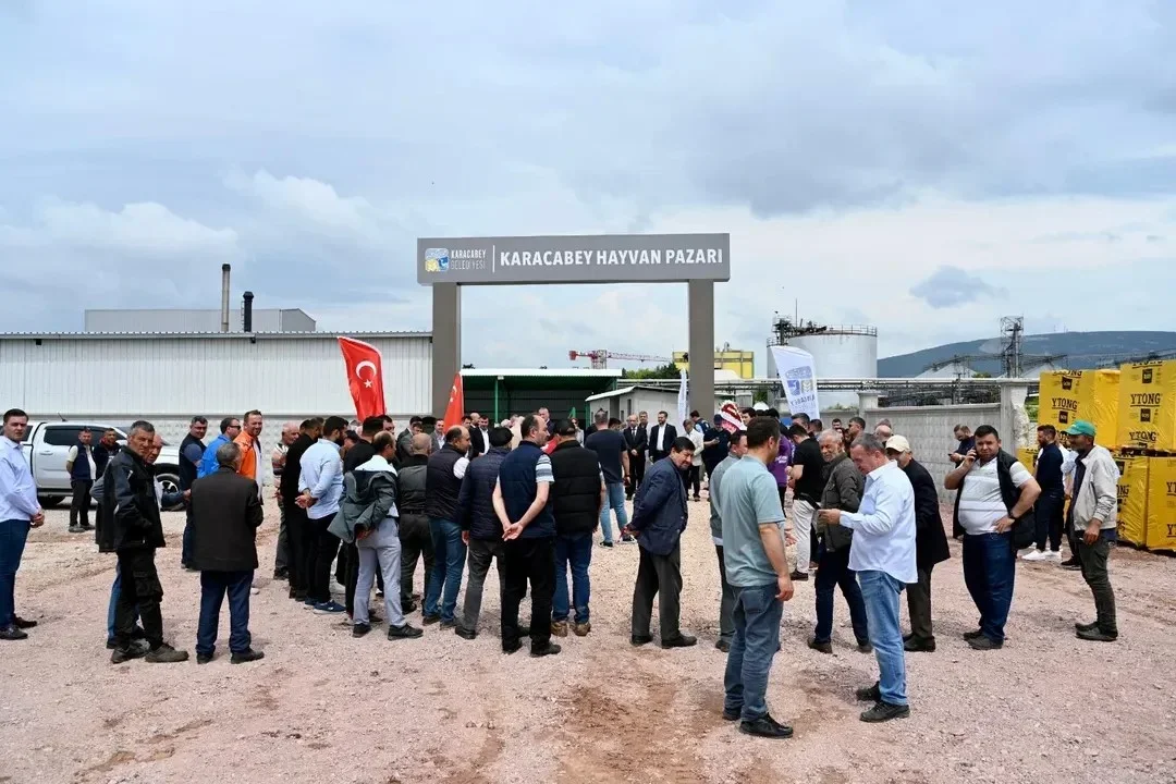 kbey_hayvan_pazari_4.webp