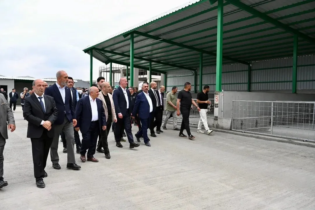 kbey_hayvan_pazari_6.webp