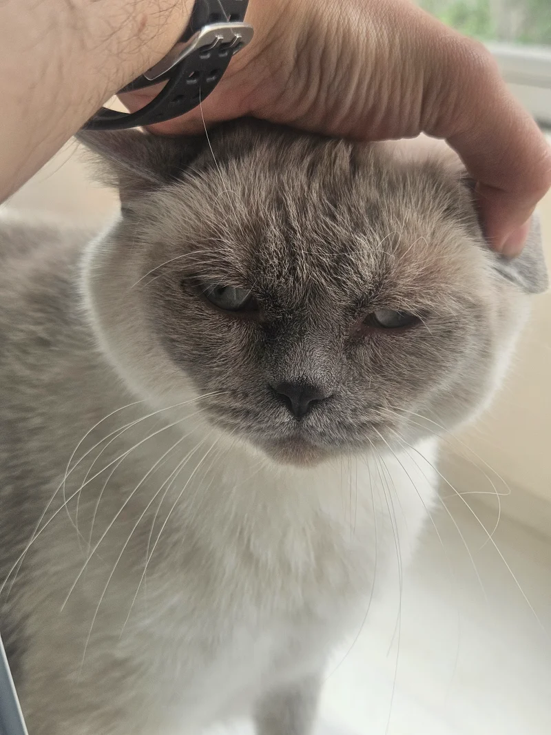 20260509_134300.webp