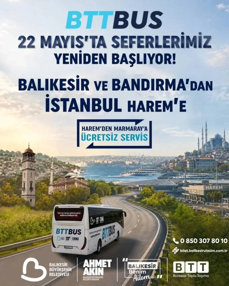bttbus_harem.webp