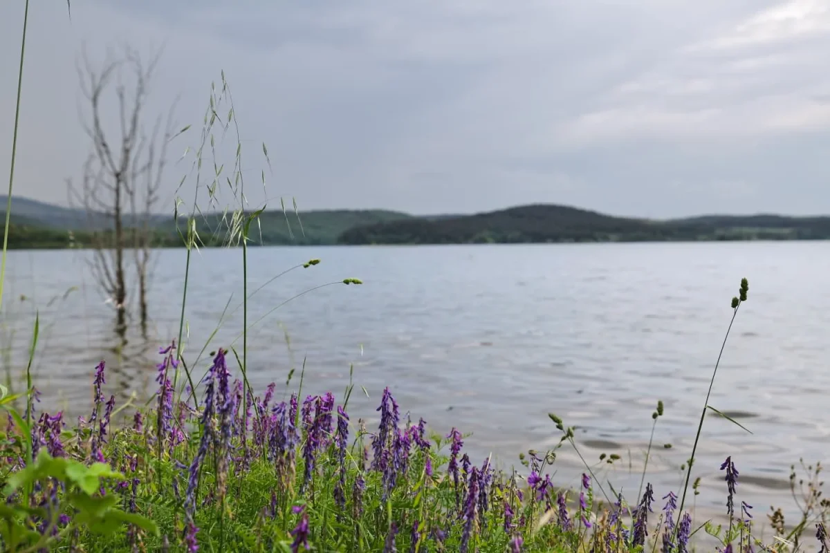 20260521_214035.webp