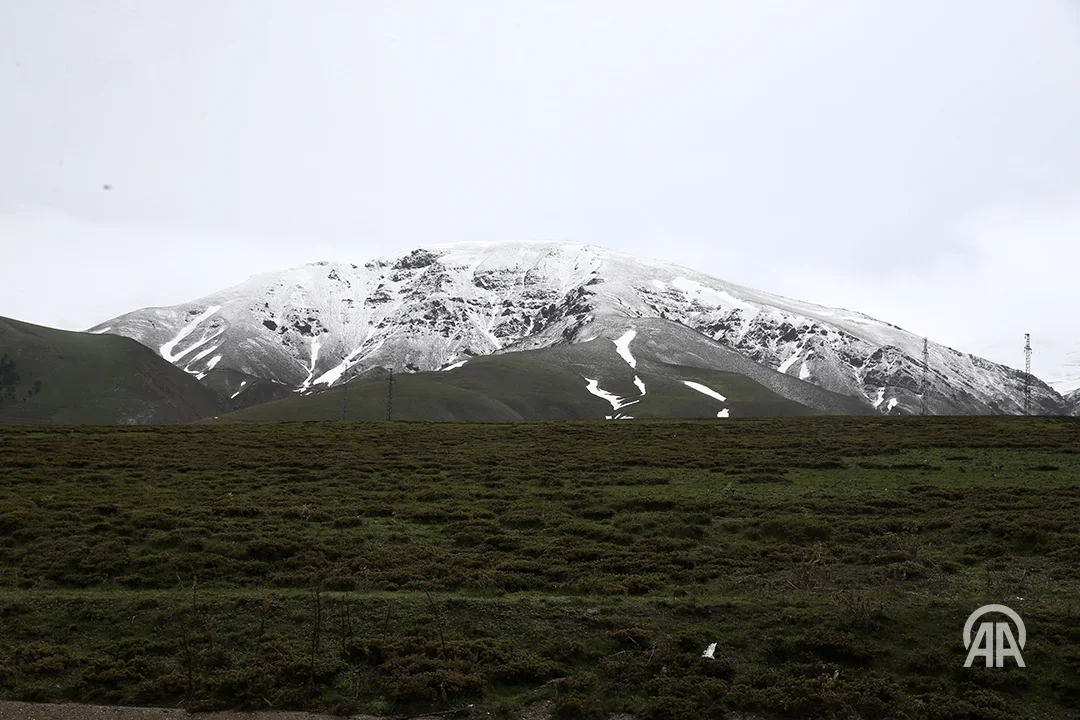 20260525_075420.webp