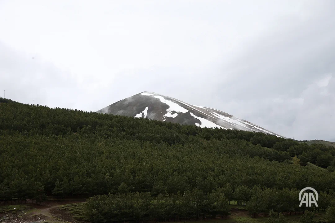 20260525_075422.webp