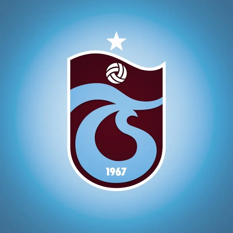 1780861722533.webp