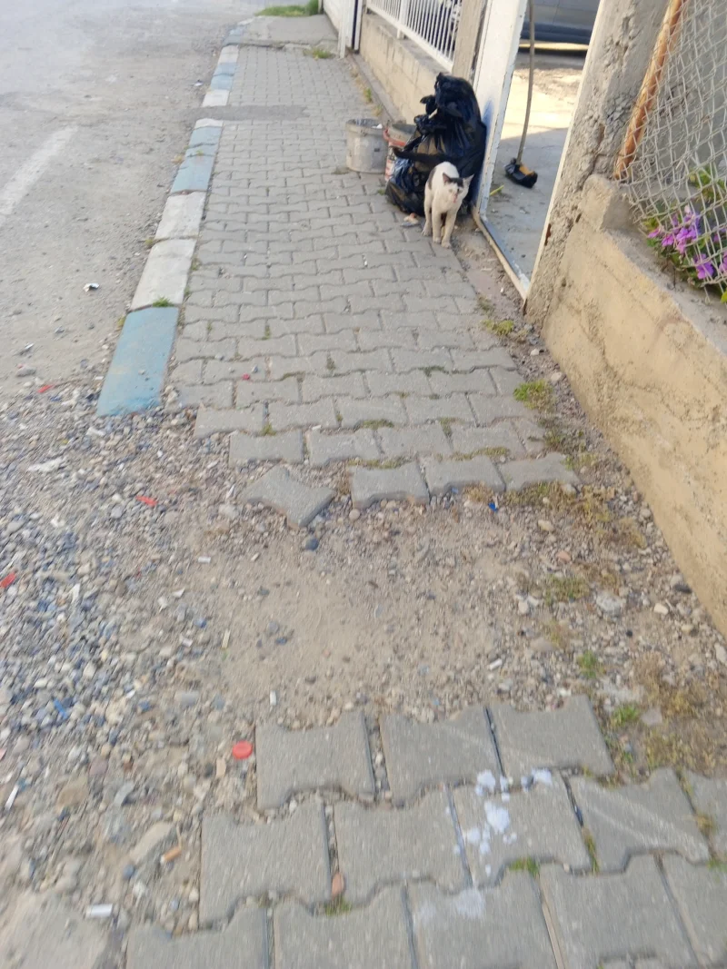 IMG_20260608_180902_148.webp